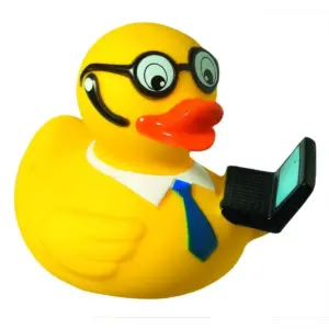 squeaky duck, laptop