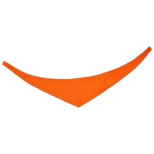 bandana/ triangle scarf