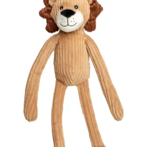 lion leon