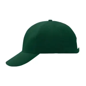 panel raver cap laminated