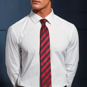 club stripe tie